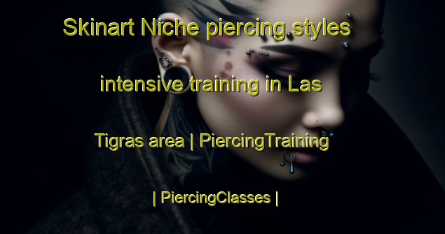 Skinart Niche piercing styles intensive training in Las Tigras area | PiercingTraining | PiercingClasses | SkinartTraining-Colombia